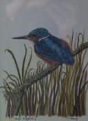 PAULINE HENRY, Baby Kingfisher, watercolour, signed, framed and glazed. 14 x 19 cm.