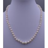 A pearl necklace with a diamond set 9 ct white gold clasp. Approximately 36 cm long.