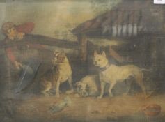 A 19th century print of Fighting Dogs, framed and glazed. 59 x 44 cm.