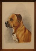 G WESTON TANNER, two Portraits of Dogs, watercolour on paper, each signed and dated 1966,