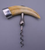 A silver mounted boar's tusk corkscrew, retailed by Asprey London. 13 cm wide.