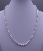 A pearl necklace with a diamond set 15 ct gold clasp. Approximately 43 cm long.
