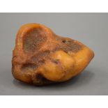 A large piece of natural amber. 145.6 grammes.