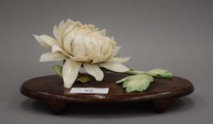 A late 19th century Japanese carved and stained ivory model of a chrysanthemum,