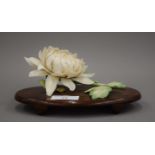 A late 19th century Japanese carved and stained ivory model of a chrysanthemum,