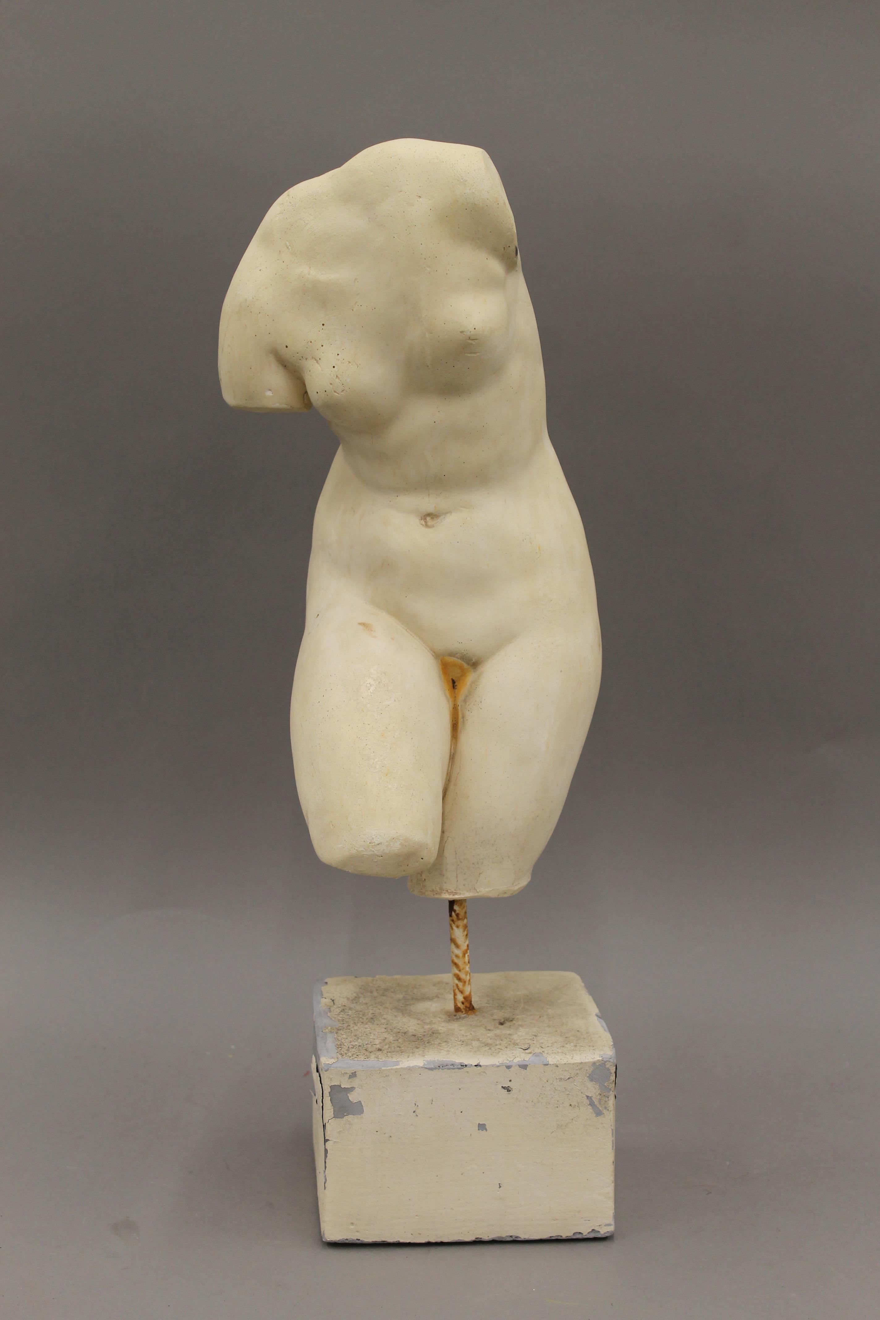 A plaster model of a female torso mounted on a display plinth. 49 cm high.