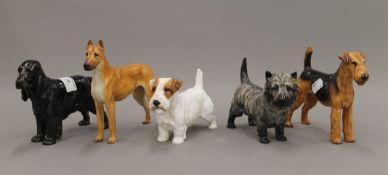 Five various Royal Doulton models of dogs. The largest 16 cm high.