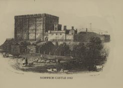 A print of Norwich Castle in 1842, framed and glazed. 18.5 x 13.5 cm.