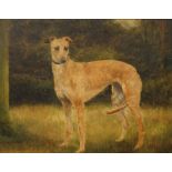 Study of a Whippet, oil on board, framed. 38 x 29.5 cm.