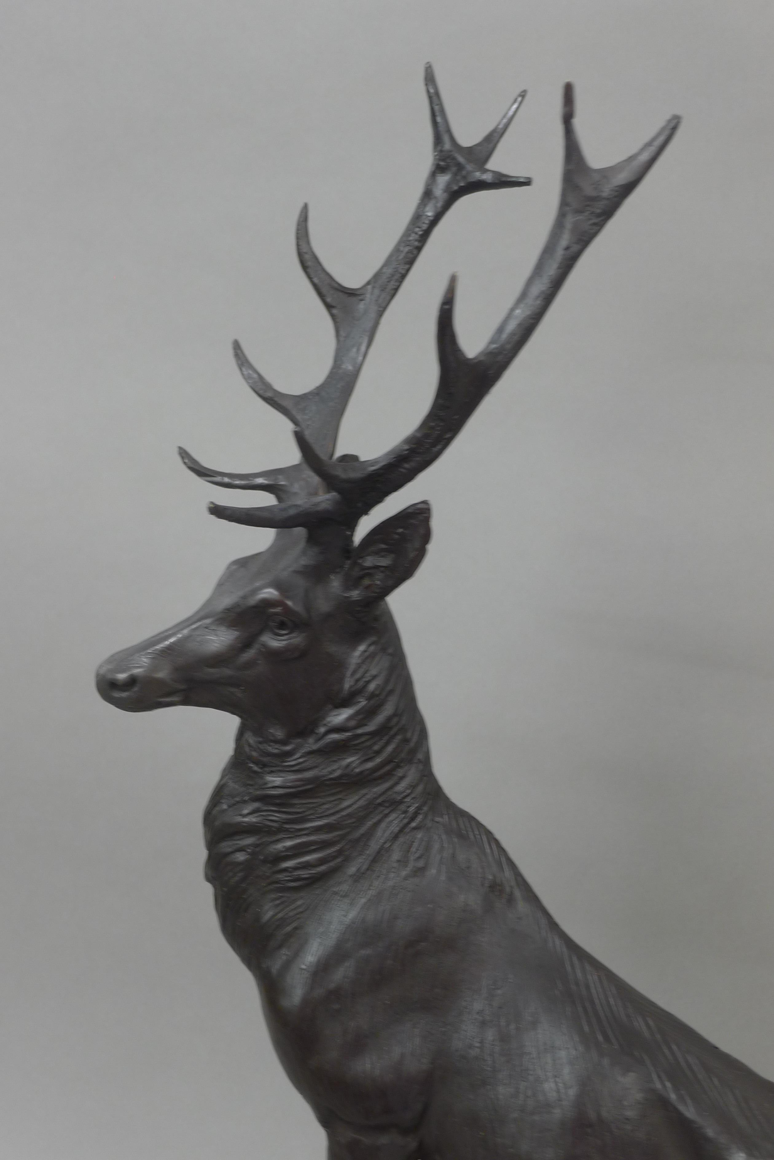 A pair of bronze stags on plinth bases. 74 cm high. - Image 3 of 3