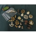 Collection of metal military cap badges, lapel badges including the submariners dolphins, RAF cap