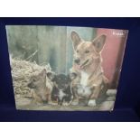 Kodak advertising coloured poster depicting dogs 63cm x 50.5cm, unframed
