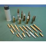 Collection of various assorted inert ammunition and casings, including baton rounds, Martini