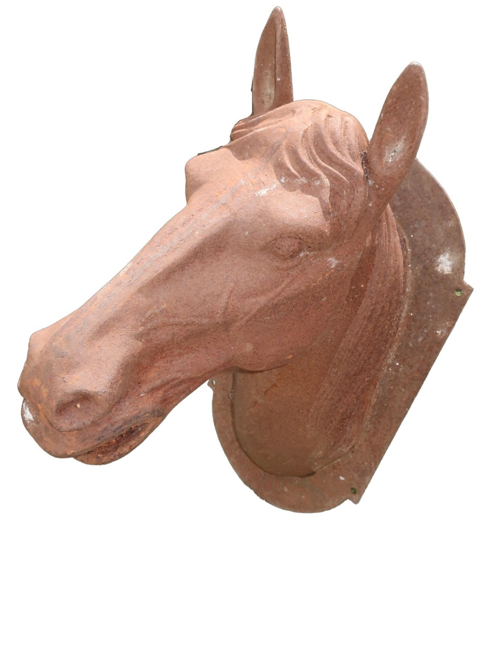 Cast iron wall mounted head and neck study of a race horse H73cm W39cm D55cm