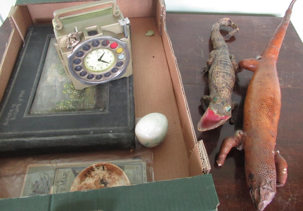 Taxidermy baby crocodile and lizard, a French souvenir postcard from Boulogne, and other items