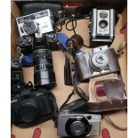 Box of various cameras including: Kodak Duaflex, a Miranda SLR camera, a Koroll 24, a Canon Sureshot