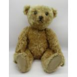 Steiff 1909 teddy bear in apricot mohair, with centre seam, boot button eyes, pronounced clipped