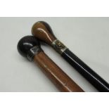 Victorian hardwood walking stick, rosewood and yew grip with lions head crest, EPNS and brass fox