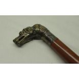 Victorian malacca walking stick, with cast metal long haired snarling dogs head handle, L87cm