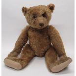 Steiff c. 1908 large teddy bear in cinnamon mohair, with boot button eyes, Steiff button in ear,