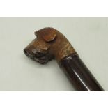 Early C20th coromandel walking stick with carved wood dogs head handle and metal ferrule, L87cm