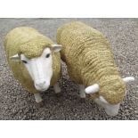 Craig Revel Horwood Collection - composite model of a sheep with head up and another grazing H66cm