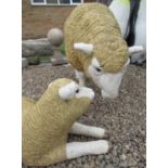 Craig Revel Horwood Collection - composite model of a grazing sheep and a lamb H66cm L100cm (2)