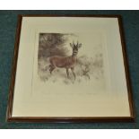 Kurt Meyer Eberhardt, roe deer buck in wood, original engraving, signed by the artist, framed, W52cm