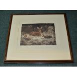 Kurt Meyer Eberhardt, mother roe deer with two fawns, original engraving, signed by the artist,