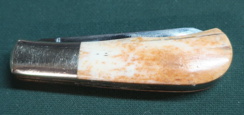 Double bladed pocket knife with bone handle