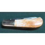 Double bladed pocket knife with bone handle