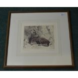 Kurt Meyer Eberhardt, young roe deer, original etching, signed the artist, framed, W54.5cm H50cm