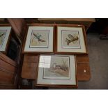 Various signed limited edition David Andrews wild life prints including, otter, king fisher, owl (3)