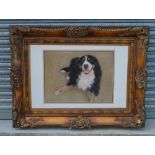 Artist L. Gray, study of a collie, colour print, signed, in heavy gilt frame. 60cm x 90cm