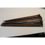 Collection of eight walking sticks with various woods including ebony, malacca, rosewood etc