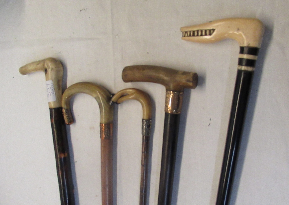 Collection of five walking canes with bone or horn handles two in form of animals in various woods - Image 2 of 3