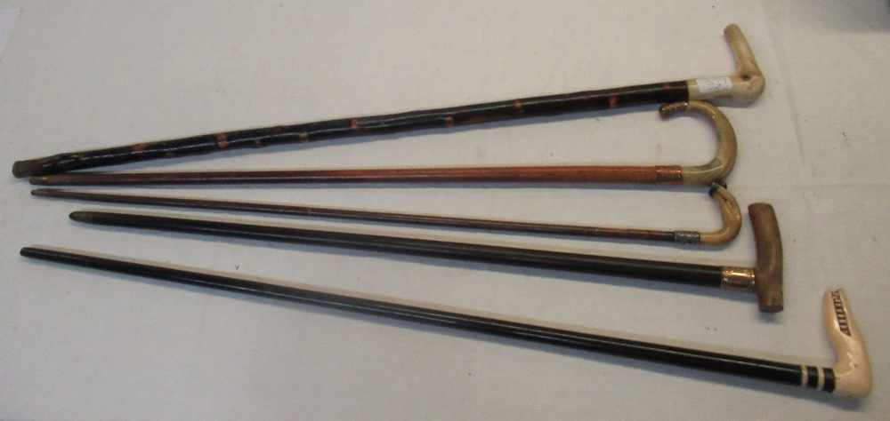 Collection of five walking canes with bone or horn handles two in form of animals in various woods