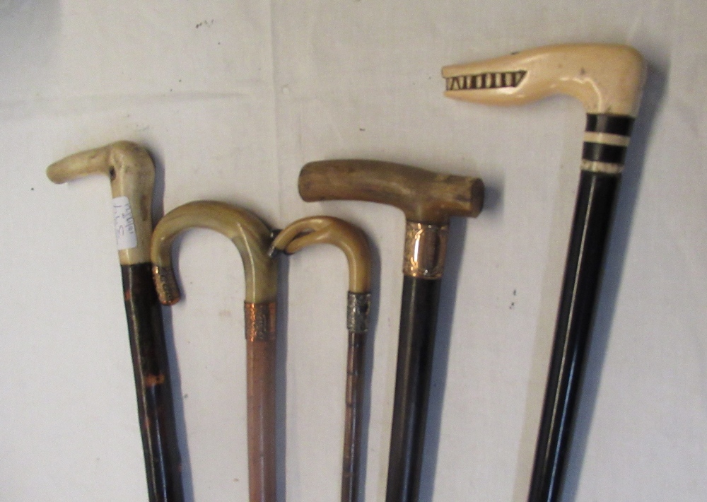 Collection of five walking canes with bone or horn handles two in form of animals in various woods - Image 3 of 3