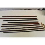 Collection of three horn handled walking canes, six walking cane shanks of various woods