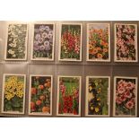 Folder containing a comprehensive collection of cigarette cards incl. Gallagher 1938 garden flower