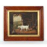 Property of a gentleman - English primitive school, second half 19th century - A TERRIER IN A BARN -