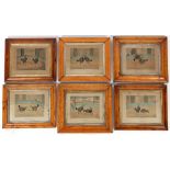 Property of a gentleman - C.R. Stock (19th century) - COCKFIGHTING SCENES - a set of six