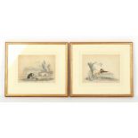 Property of a gentleman - W. Gunton (English, early 19th century) - LURCHERS HARE COARSING and GUN