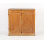 Property of a gentleman - a Victorian pine panelled two-door cupboard on plinth base, the base