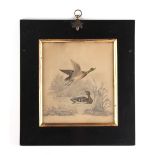 Property of a gentleman - a 19th century watercolour & pencil drawing depicting a drake & hen duck