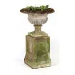 Property of a gentleman - a well-weathered reconstituted stone garden urn on square tapering base,