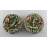 Property of a gentleman - a pair of 19th century Bernard Palissy style majolica dishes, impressed