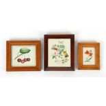 Property of a gentleman - a group of three watercolours, two depicting flowers, the third
