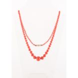 A coral graduated bead necklace, the largest bead approximately 14.5mm diameter, the unmarked gold