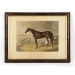 Property of a deceased estate - Charles Hunt after John Frederick Herring - 'POISON', A RACEHORSE IN